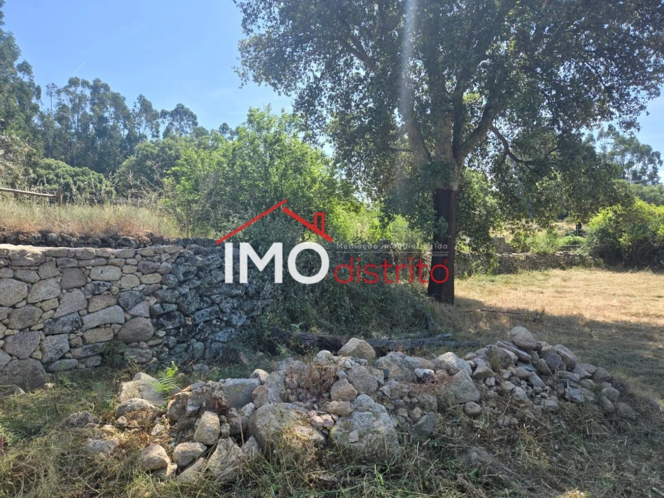 Terreno Agricola ou Rústico para Venda em Santo Antonio das Areias Foto 3
