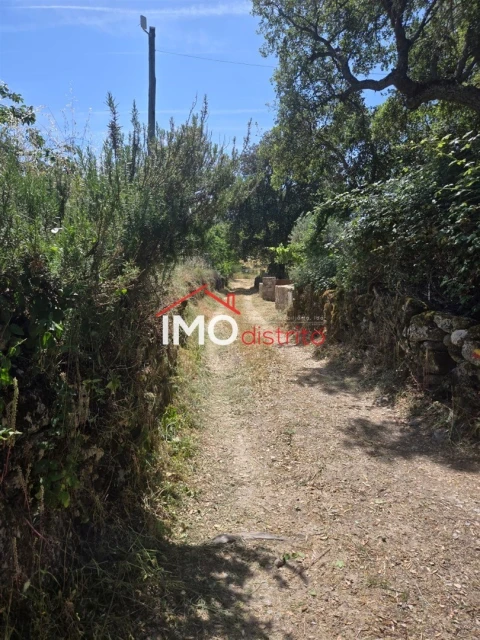 Terreno Agricola ou Rústico para Venda em Santo Antonio das Areias