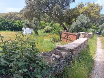 Terreno Agricola ou Rústico para Venda em Santo Antonio das Areias