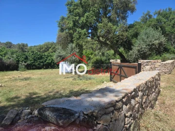 Terreno Agricola ou Rústico para Venda em Santo Antonio das Areias