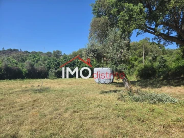 Terreno Agricola ou Rústico para Venda em Santo Antonio das Areias