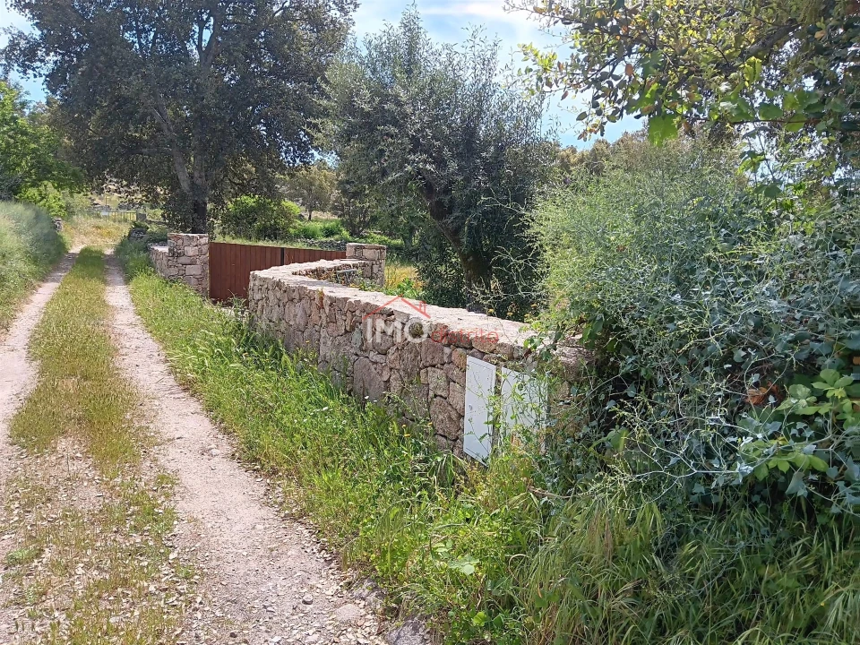 Terreno Agricola ou Rústico para Venda em Santo Antonio das Areias Foto 4
