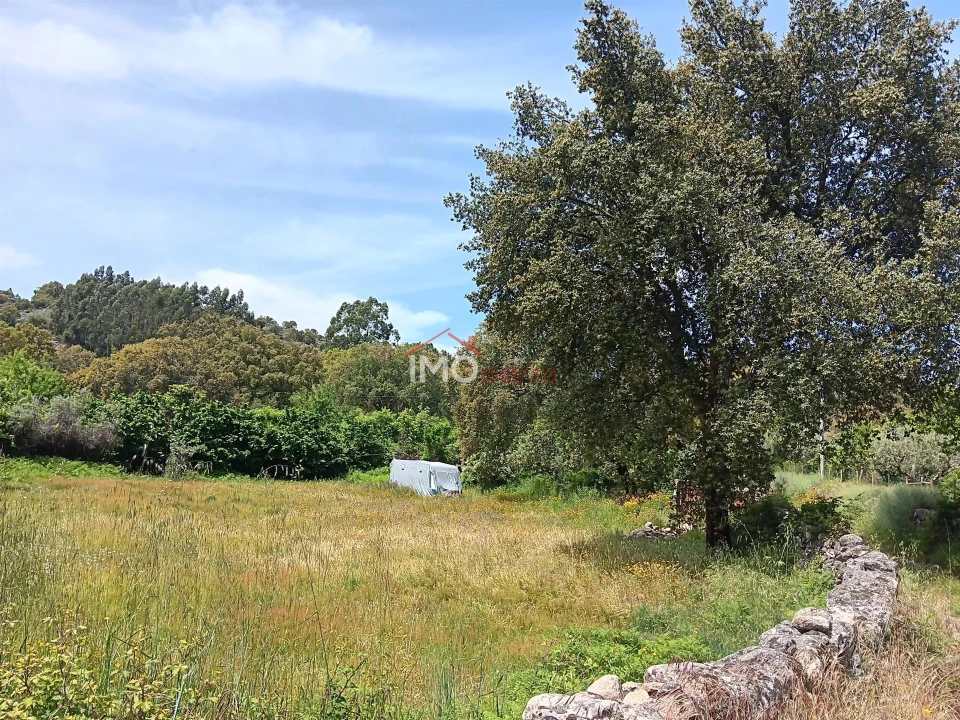 Terreno Agricola ou Rústico para Venda em Santo Antonio das Areias Foto 7