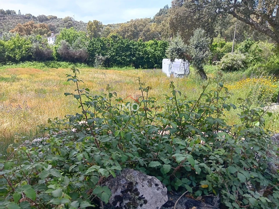 Terreno Agricola ou Rústico para Venda em Santo Antonio das Areias Foto 3