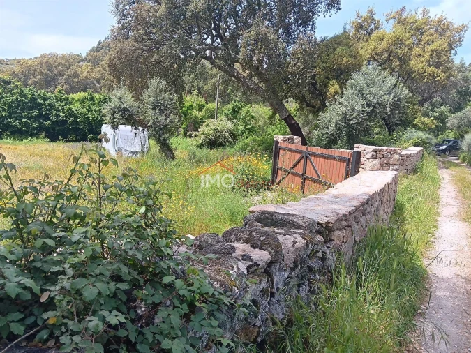 Terreno Agricola ou Rústico para Venda em Santo Antonio das Areias Foto 2