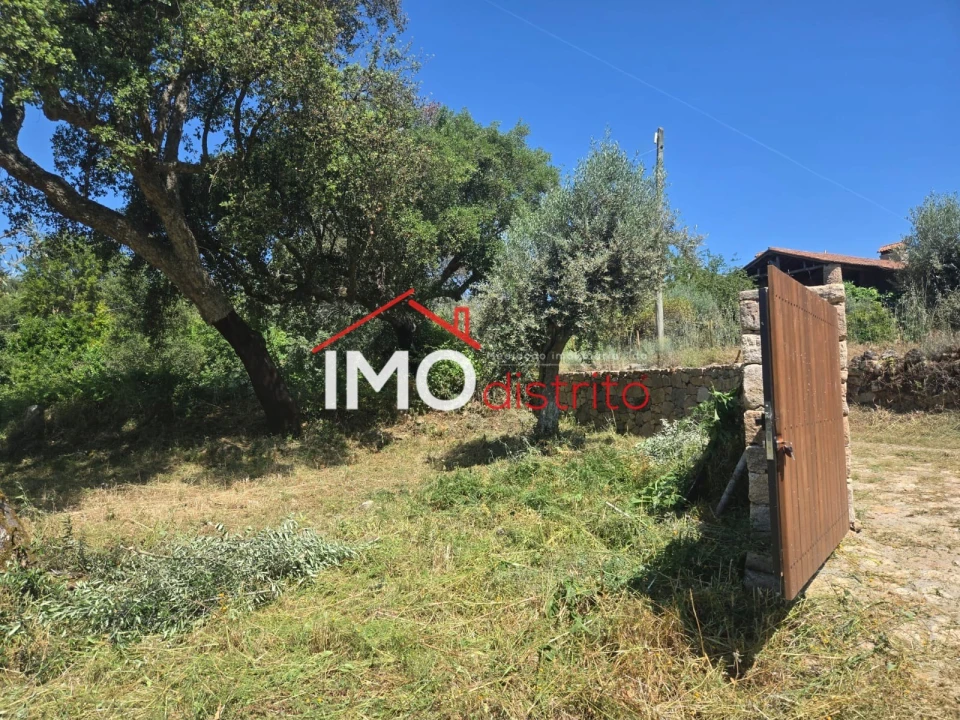 Terreno Agricola ou Rústico para Venda em Santo Antonio das Areias Foto 12