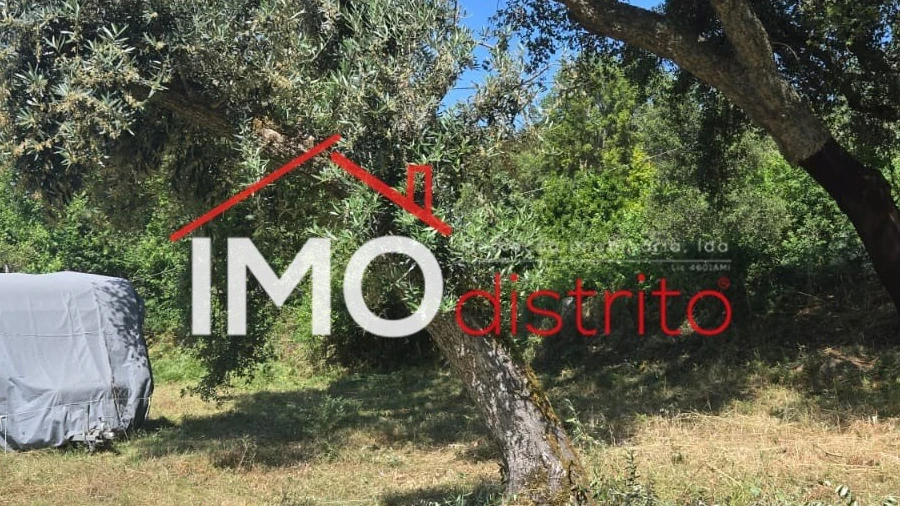 Terreno Agricola ou Rústico para Venda em Santo Antonio das Areias