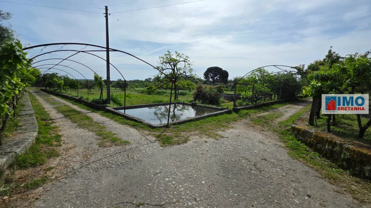 Quinta T4 para Venda em Castelo Branco Foto 32