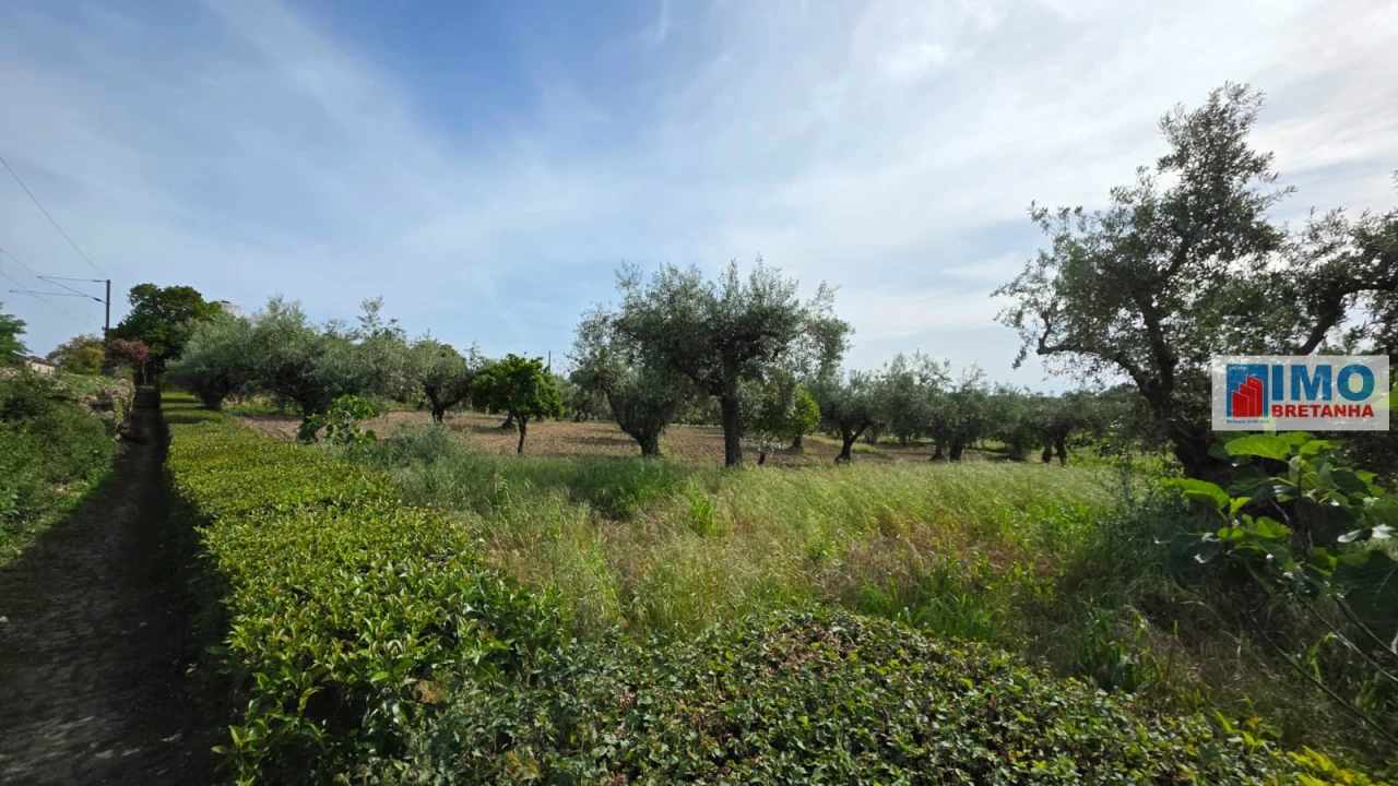 Quinta T4 para Venda em Castelo Branco Foto 39