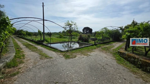 Quinta T4 para Venda em Castelo Branco