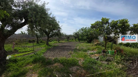 Quinta T4 para Venda em Castelo Branco