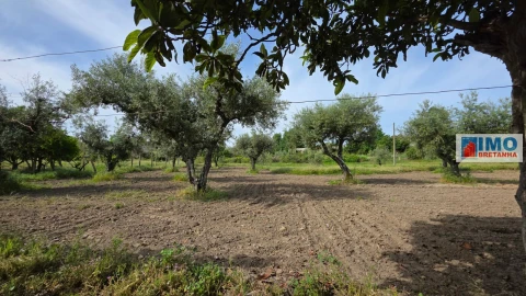 Quinta T4 para Venda em Castelo Branco