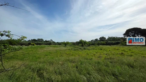 Quinta T4 para Venda em Castelo Branco