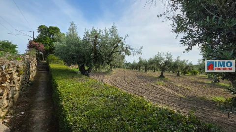 Quinta T4 para Venda em Castelo Branco