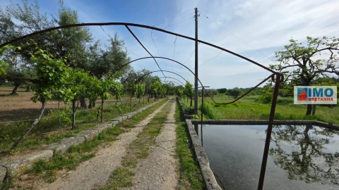 Quinta T4 para Venda em Castelo Branco