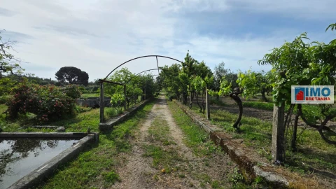 Quinta T4 para Venda em Castelo Branco