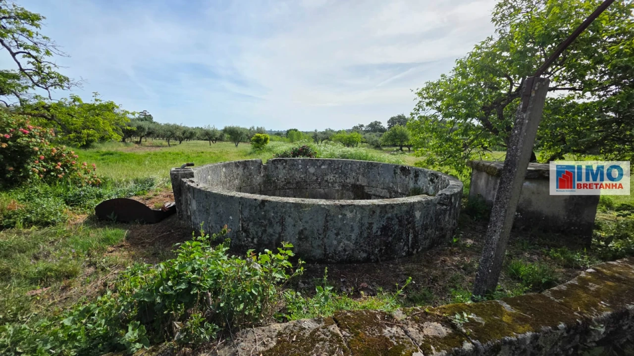 Quinta T4 para Venda em Castelo Branco Foto 29