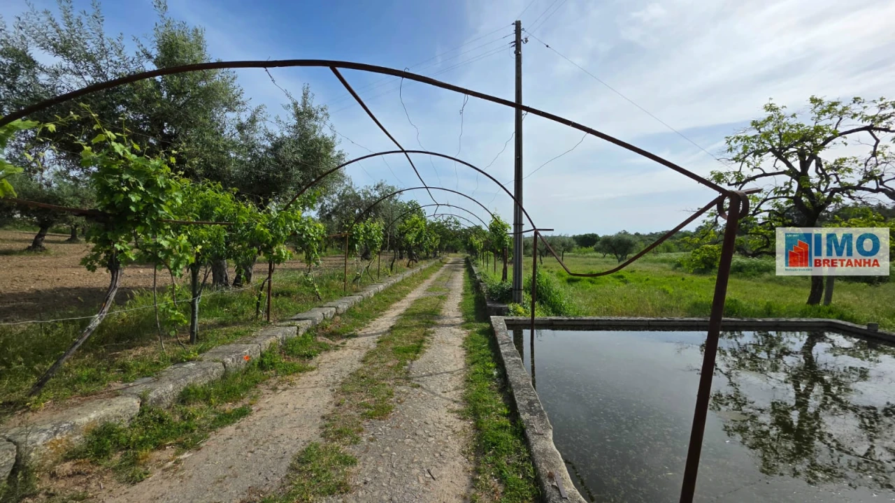 Quinta T4 para Venda em Castelo Branco Foto 24