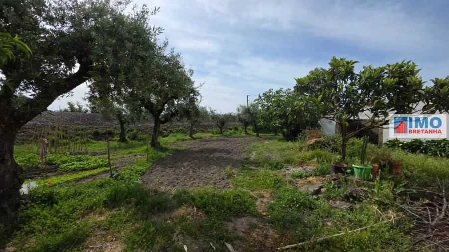Quinta T4 para Venda em Castelo Branco Foto 37