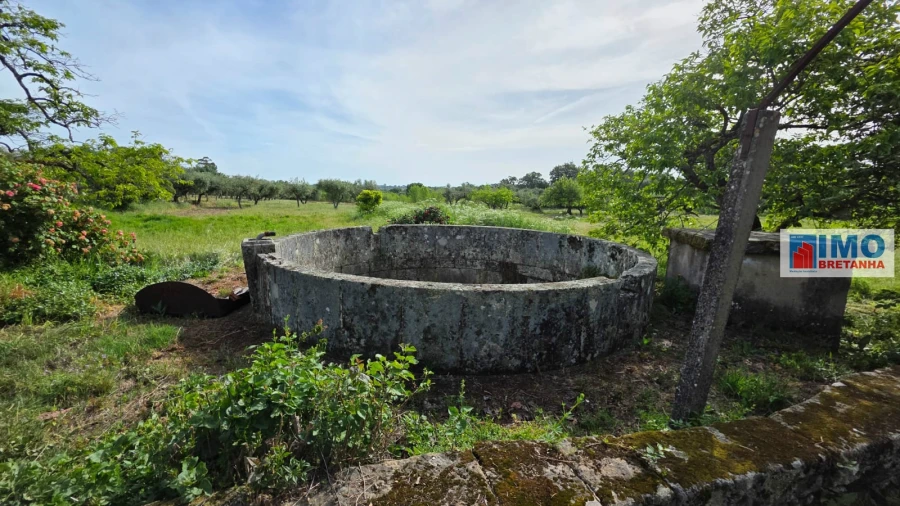 Quinta T4 para Venda em Castelo Branco Foto 29