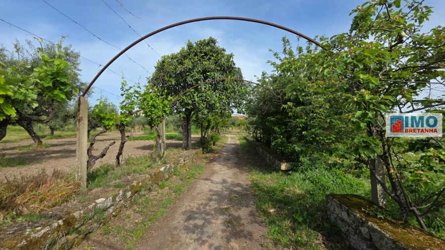 Quinta T4 para Venda em Castelo Branco Foto 25
