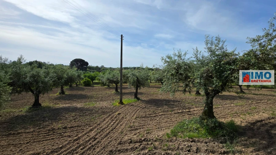 Quinta T4 para Venda em Castelo Branco Foto 46