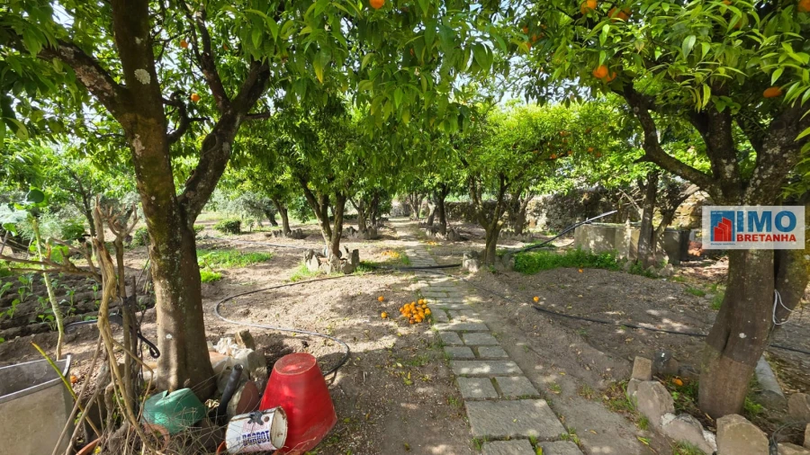 Quinta T4 para Venda em Castelo Branco Foto 44