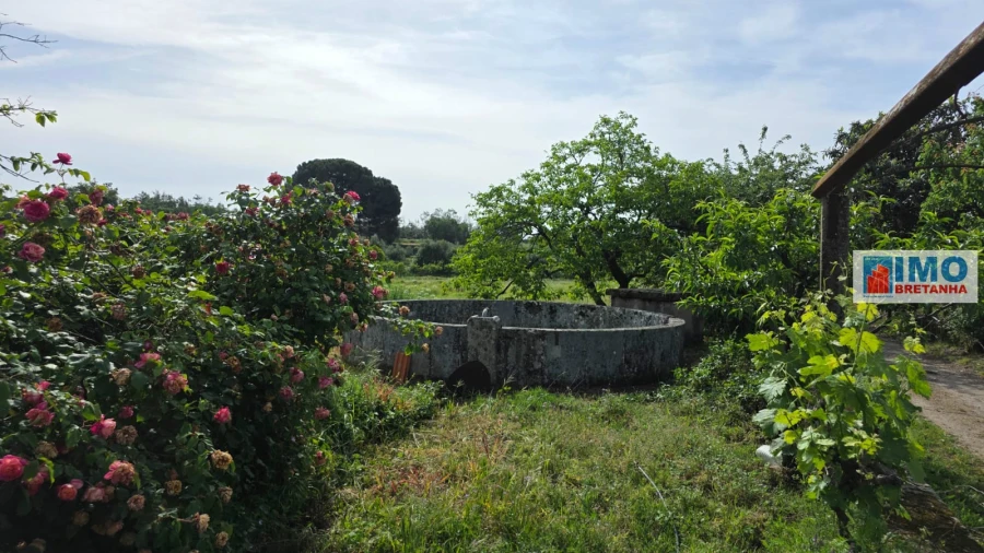 Quinta T4 para Venda em Castelo Branco Foto 30