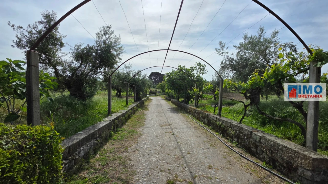 Quinta T4 para Venda em Castelo Branco Foto 38