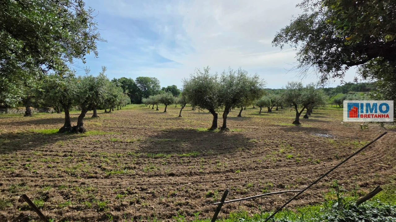 Quinta T4 para Venda em Castelo Branco Foto 48