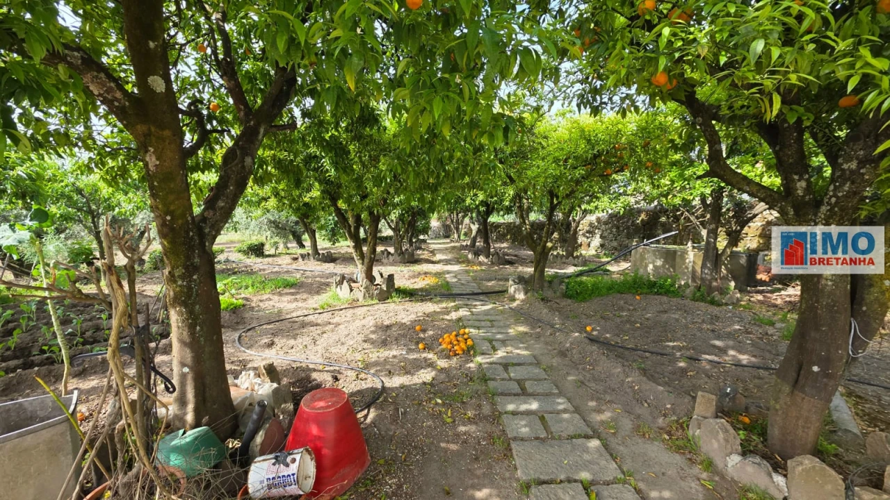 Quinta T4 para Venda em Castelo Branco Foto 44