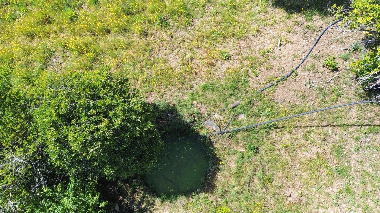 Terreno Agricola ou Rústico para Venda em Vila Velha de Rodão Foto 27