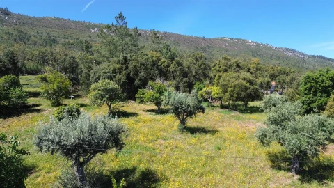 Terreno Agricola ou Rústico para Venda em Vila Velha de Rodão
