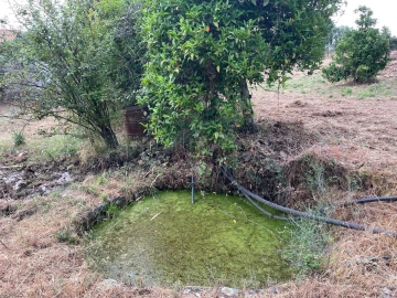 Terreno Agricola ou Rústico para Venda em Vila Velha de Rodão