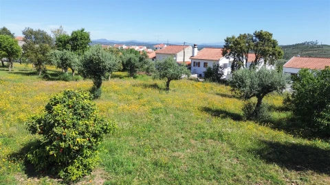 Terreno Agricola ou Rústico para Venda em Vila Velha de Rodão