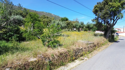 Terreno Agricola ou Rústico para Venda em Vila Velha de Rodão