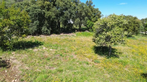 Terreno Agricola ou Rústico para Venda em Vila Velha de Rodão