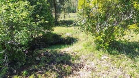 Terreno Agricola ou Rústico para Venda em Vila Velha de Rodão