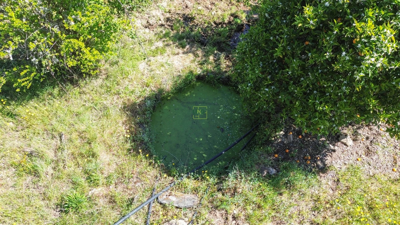 Terreno Agricola ou Rústico para Venda em Vila Velha de Rodão Foto 7