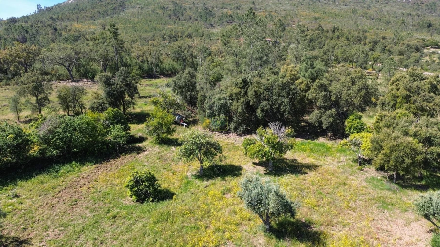 Terreno Agricola ou Rústico para Venda em Vila Velha de Rodão Foto 18