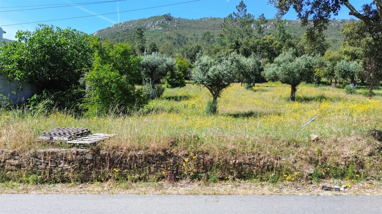 Terreno Agricola ou Rústico para Venda em Vila Velha de Rodão Foto 20