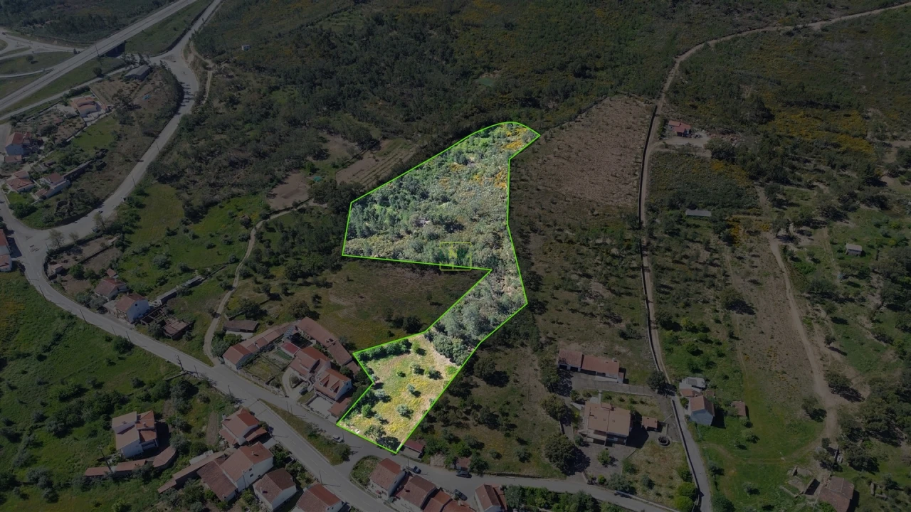 Terreno Agricola ou Rústico para Venda em Vila Velha de Rodão Foto 1