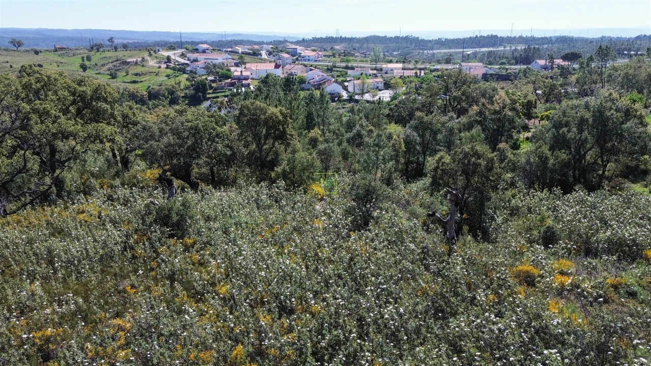 Terreno Agricola ou Rústico para Venda em Vila Velha de Rodão Foto 24