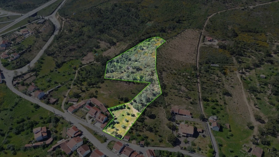 Terreno Agricola ou Rústico para Venda em Vila Velha de Rodão
