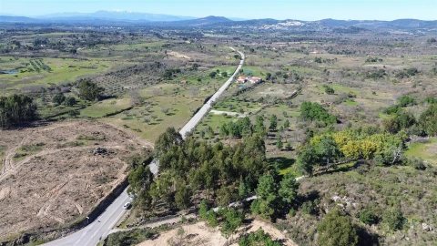 Terreno Agricola ou Rústico para Venda em Penamacor