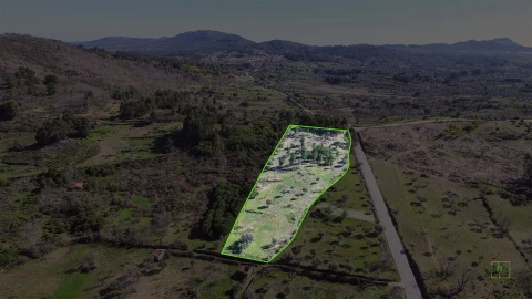 Terreno Agricola ou Rústico para Venda em Penamacor