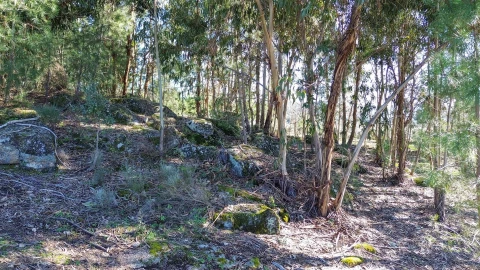 Terreno Agricola ou Rústico para Venda em Penamacor