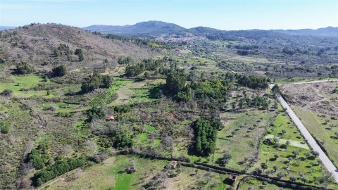 Terreno Agricola ou Rústico para Venda em Penamacor