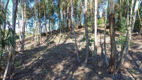 Terreno Agricola ou Rústico para Venda em Penamacor