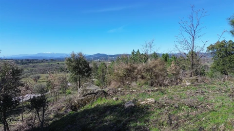 Terreno Agricola ou Rústico para Venda em Penamacor